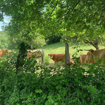 بيت للعطل Souvenirs Rignacois Rignac (Aveyron)